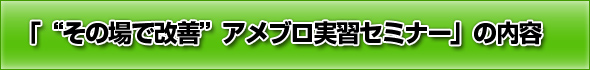 丸一日かけて行う「ブログ“プロ仕様化”カスタマイズセミナー」の内容 