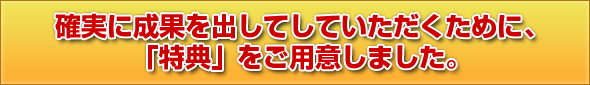 確実にカスタマイズしていただくために、「特典」をご用意しました。